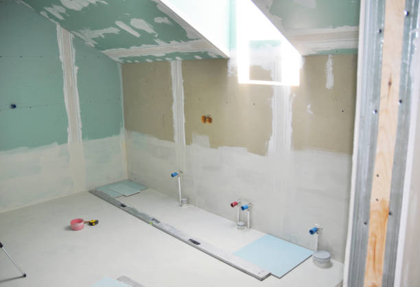 Professional Mold Removal in St Charles, MI