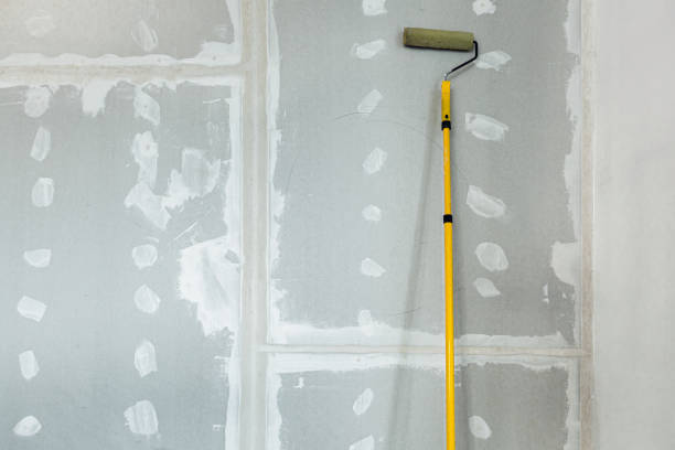 Best Black Mold Removal  in St Charles, MI