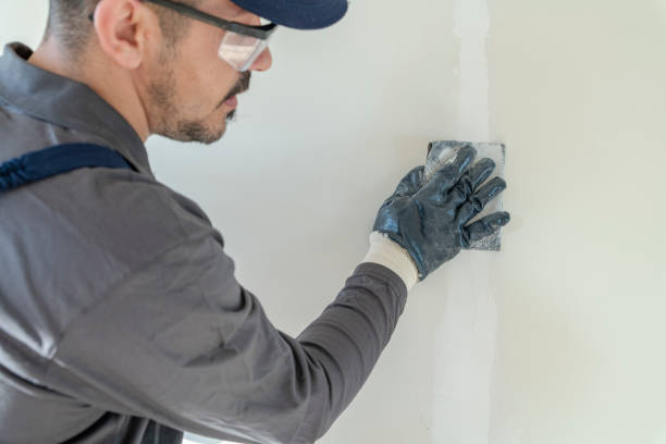 Best Basement Mold Removal  in St Charles, MI