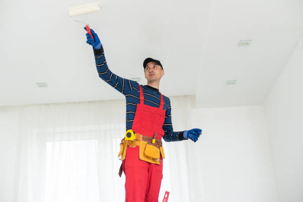 Best Dehumidification Services  in St Charles, MI