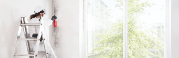 Best Mold-Related Health Consultation  in St Charles, MI